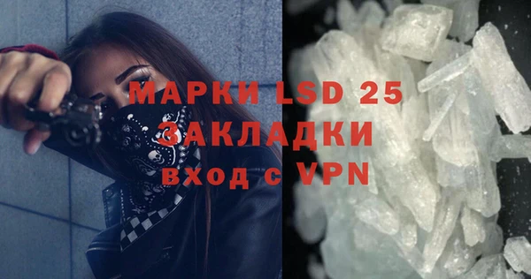 прущие грибы Армянск