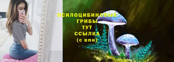 ECSTASY Балабаново
