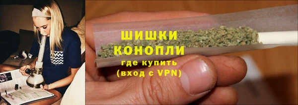 прущие грибы Армянск