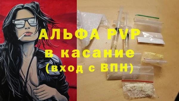 прущие грибы Армянск