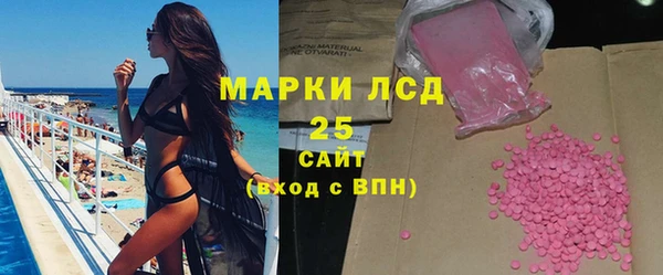 прущие грибы Армянск